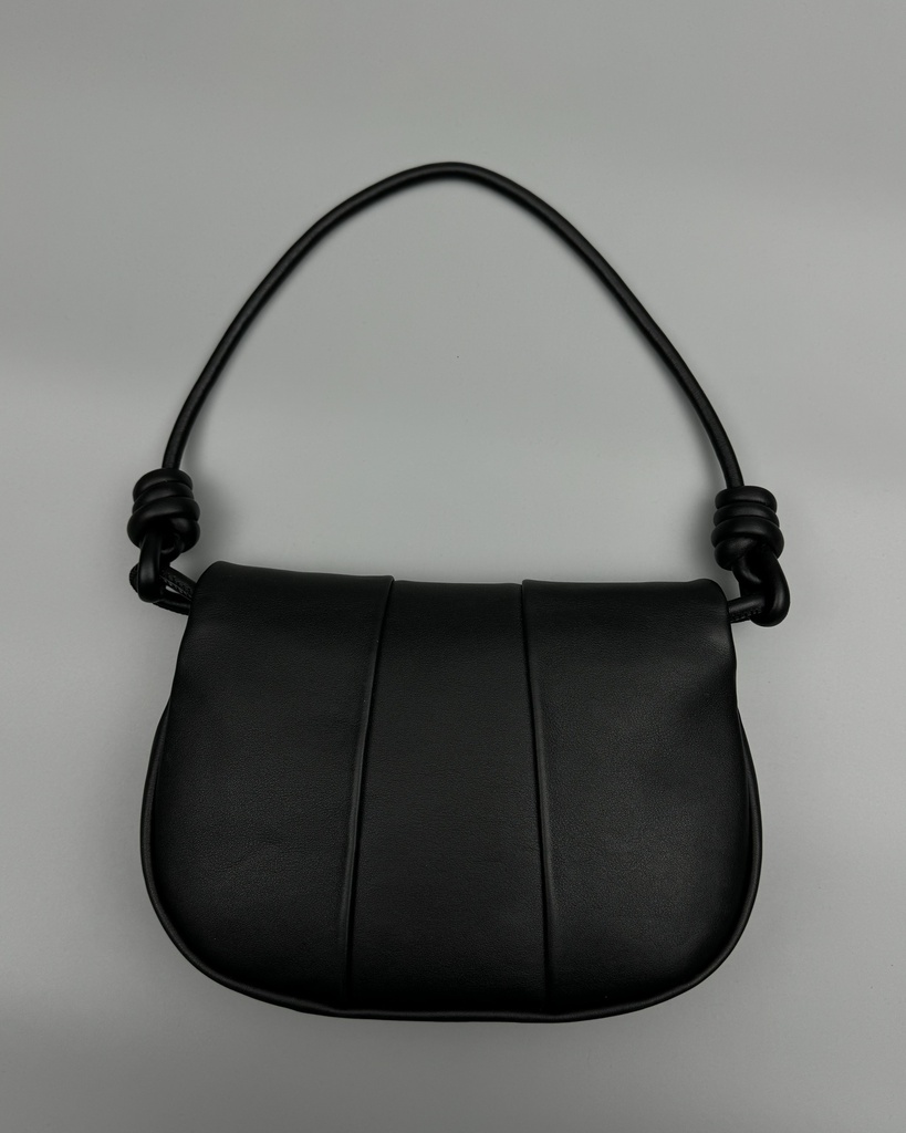BAg Loewe 062317