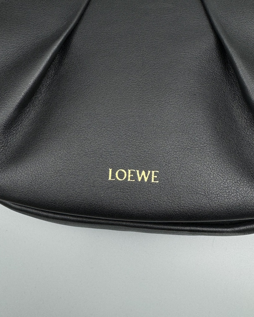 BAg Loewe 062317