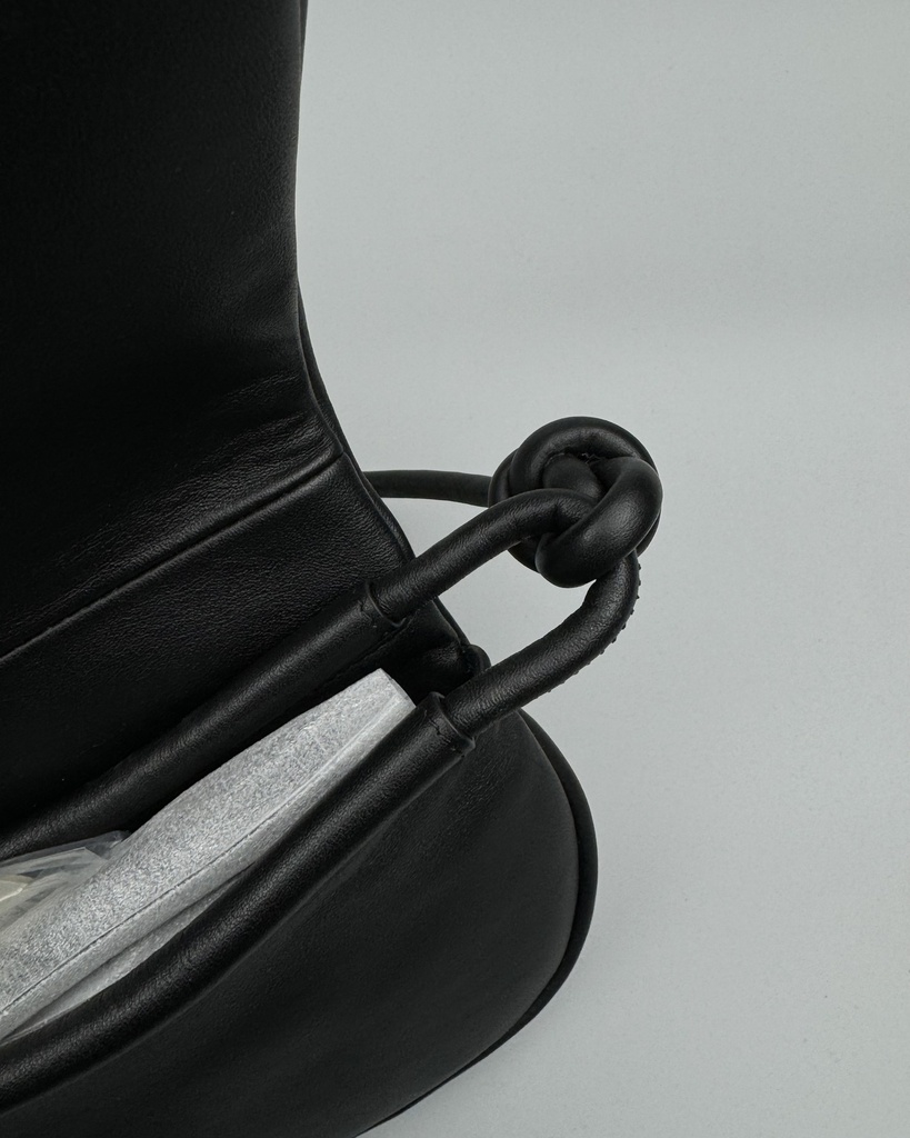 BAg Loewe 062317