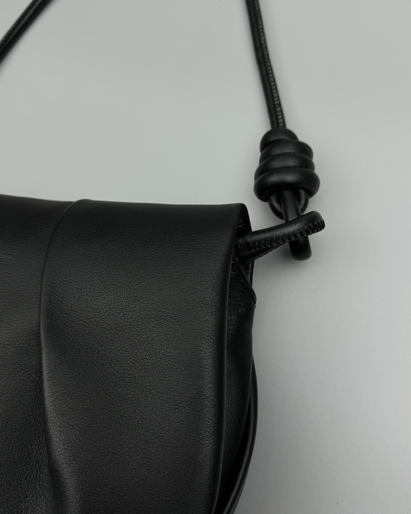 BAg Loewe 062317