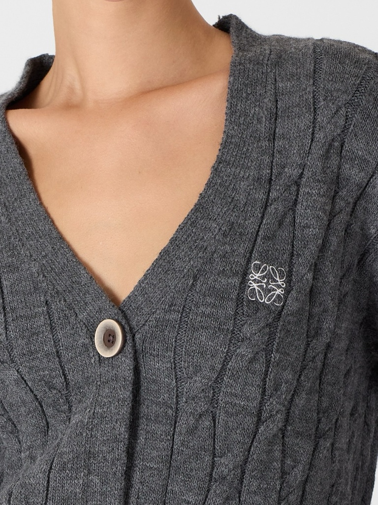 Loewe Knitted Cardigan 167