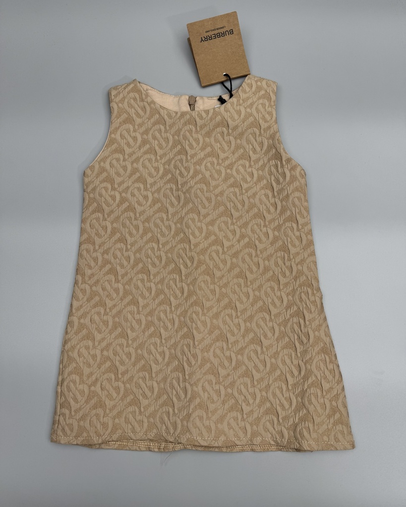 Burberry Dress 23-0910 (2)