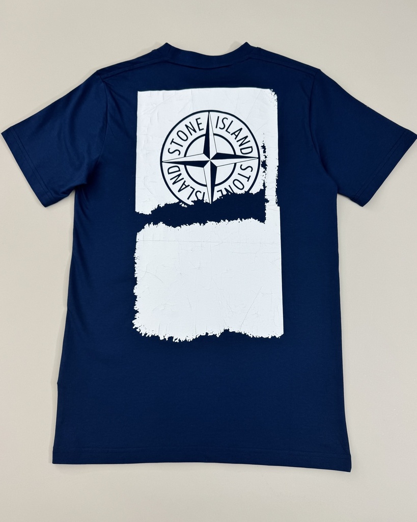 Stone Island Compass back Print 140308 (S)